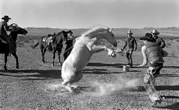 Дикий Запад. США, Аризона, 1980 год.