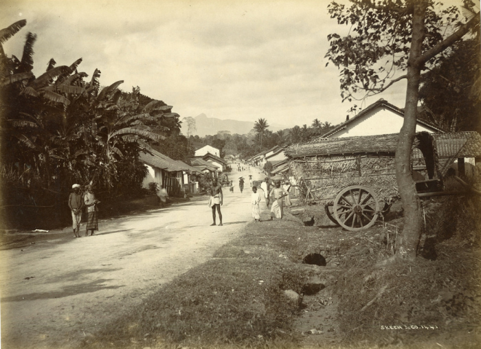 Деревня, которая расположена в регионе Коломбо.