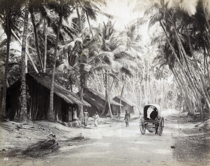 Просёлочная дорога в окрестностях Коломбо.