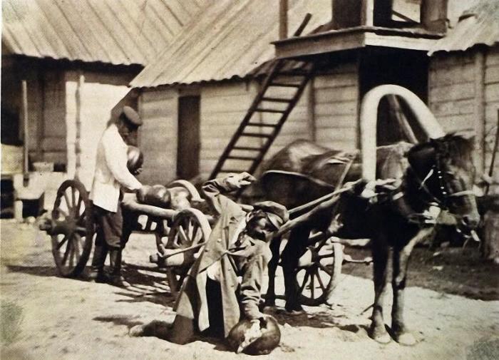 Казаки носят арбузы, 1876 год.
