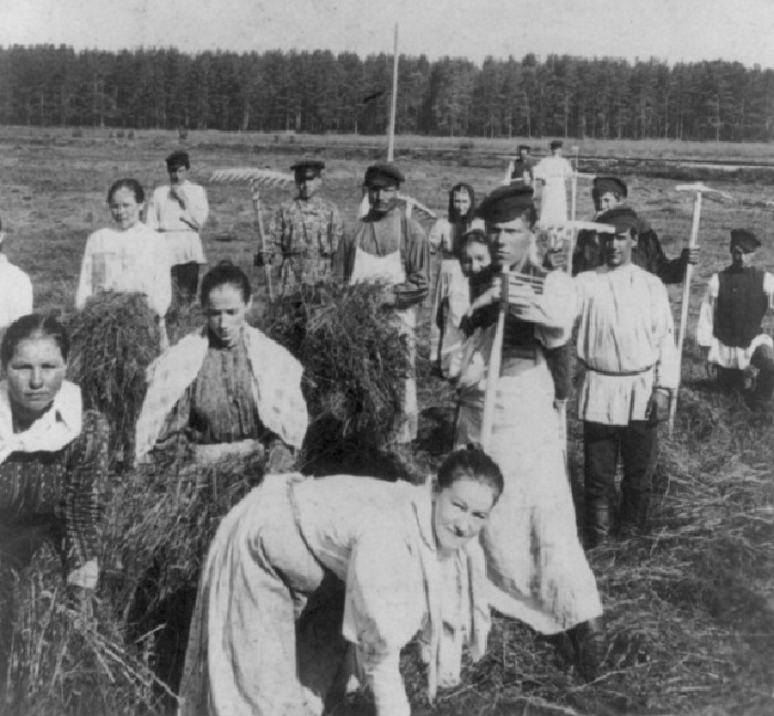 Заготовка сена в России в 1897 году.