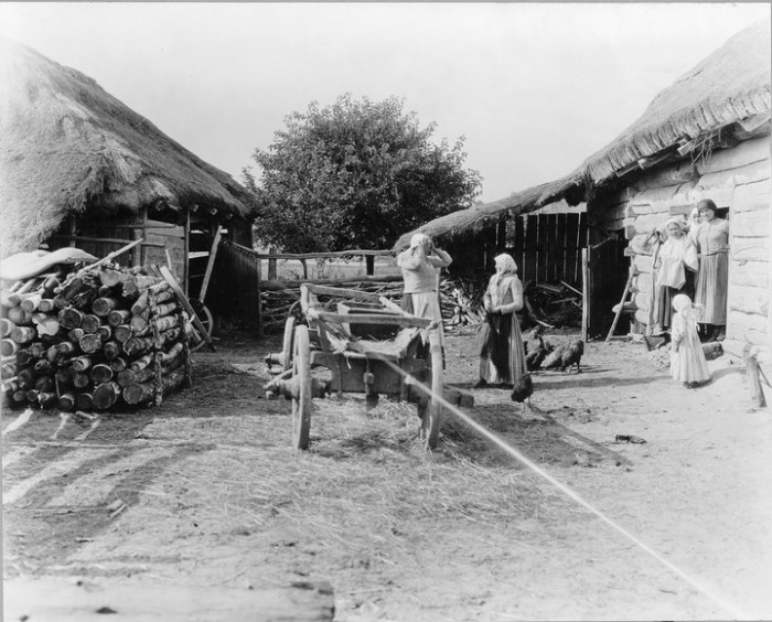 Заготовка дров на зиму. Россия, село Бородино, 1867 год.