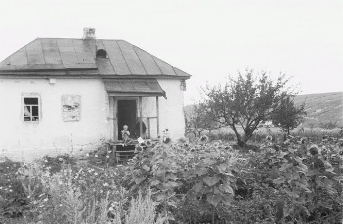 Сельская хата. СССР, Белгородская область, 1943 год.