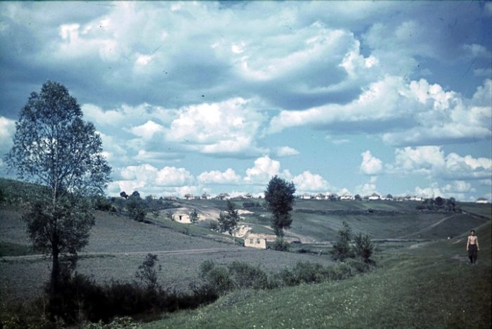 Вид на деревню не разрушенную немцами. СССР, Белгородская область, 1943 год.
