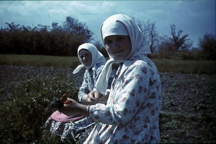 Местные жители. СССР, Белгородская область, 1943 год.