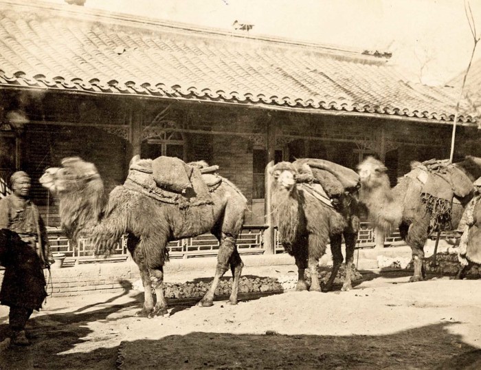 Фото путешественников 19-го века на Шелковом пути в Китае.