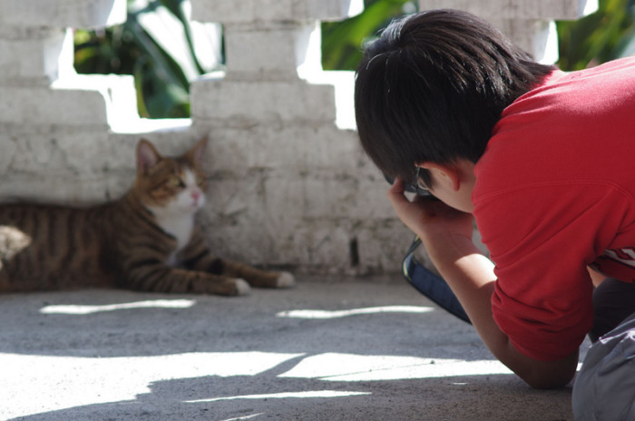 Фотографирование кошки в городке Хутонг, Тайвань. | Фото: flickr.com.