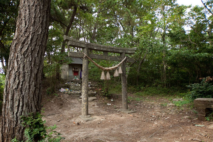 Храм кошек на острове Тасиро. | Фото: ru.wikipedia.org.