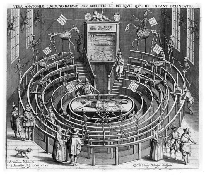 Анатомическая лекция в Лейденском университете, Нидерланды, начало 17-го века. | Фото: atlasobscura.com.