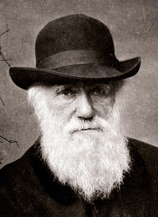 Английский натуралист Чарльз Дарвин. | Фото: novopetrivske-osoba.edukit.mk.ua.