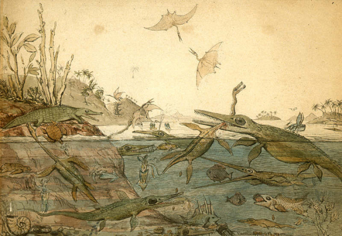 Duria Antiquior - известная акварель 1830 года геолога Генри де ла Беша, на которой изображена доисторическая жизнь морского побережья юрского периода. | Фото: atlasobscura.com.
