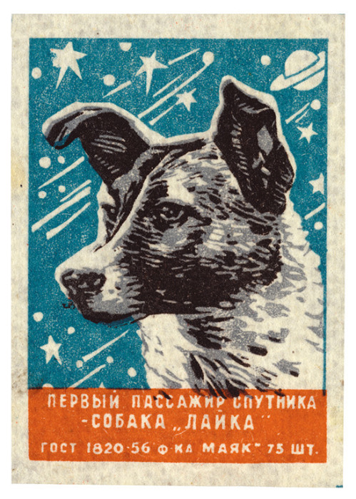 Спичечная этикетка, СССР, 1957 год. Это первое из многих последующих изображений советских собак в космосе.