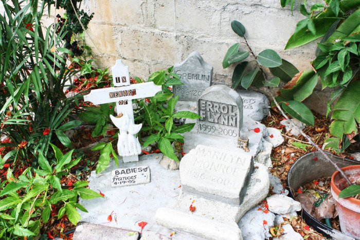 Кошачье кладбище в доме-музее Эрнеста Хемингуэя. | Фото: flickr.com.