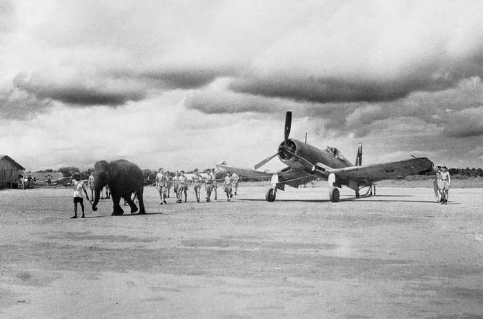 Слон перемещает истребитель Corsair на новую позицию на аэродроме в Индии, 1944 год. | Фото: iwm.org.uk.