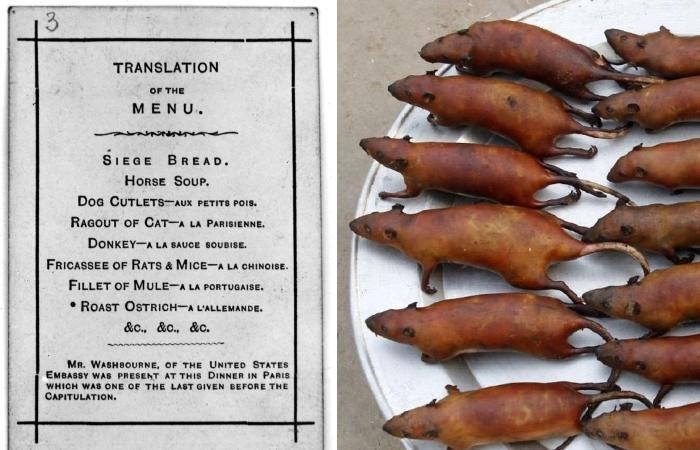 Ужасное меню ресторанов Парижа в 1870 году.