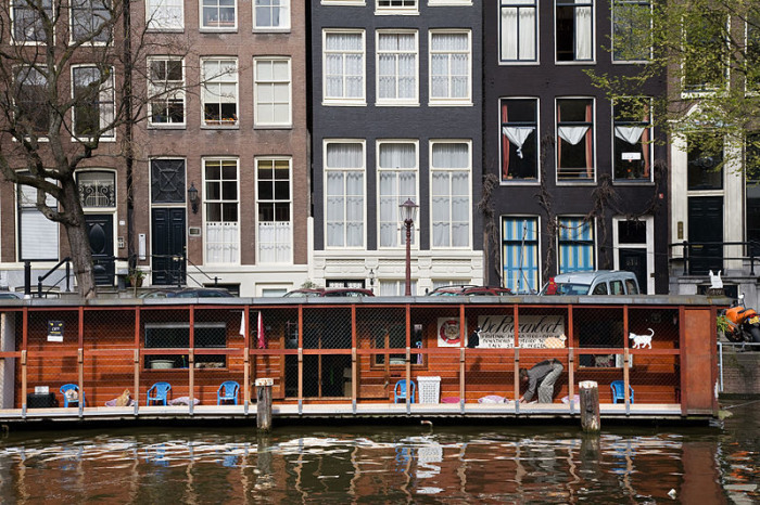 Вид De Poezenboot в канале Амстердам. | Фото: commons.wikimedia.org.