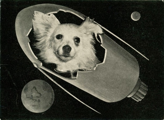 Космическая собака Козявка на итальянской открытке 1960 года.