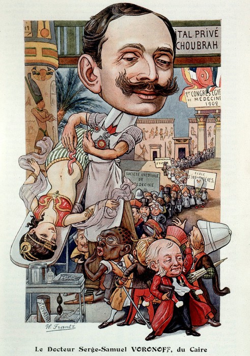 Политическая карикатура на Воронова в Египте. Фото: commons.wikimedia.org.