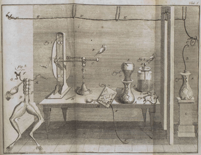 Схема эксперимента Луиджи Гальвани с мышцами лягушки, 1780 год. | Фото: upload.wikimedia.org.