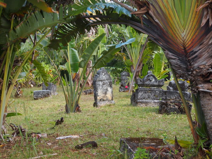 Если бы растительность не убирать, то кладбище полностью зарастает высокой травой и деревьями. Фото: commons.wikimedia.org.