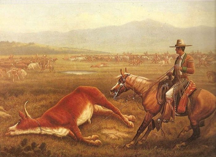 Всадник вакеро заарканил быка. 1830-е годы. | Фото: commons.wikimedia.org.
