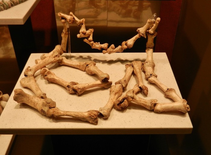 Ожерелье из костей рук и ног в Национальном музее антропологии, Мексика. | Фото: flickr.com.
