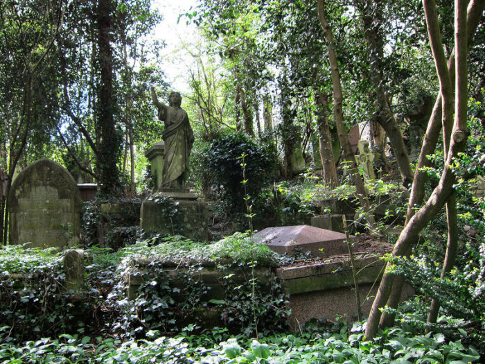 Увитые плющом могилы лондонского кладбища Хайгейт. Фото: atlasobscura.com.