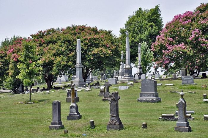 Панорама кладбища Элмвуд. | Фото: en.wikipedia.org.