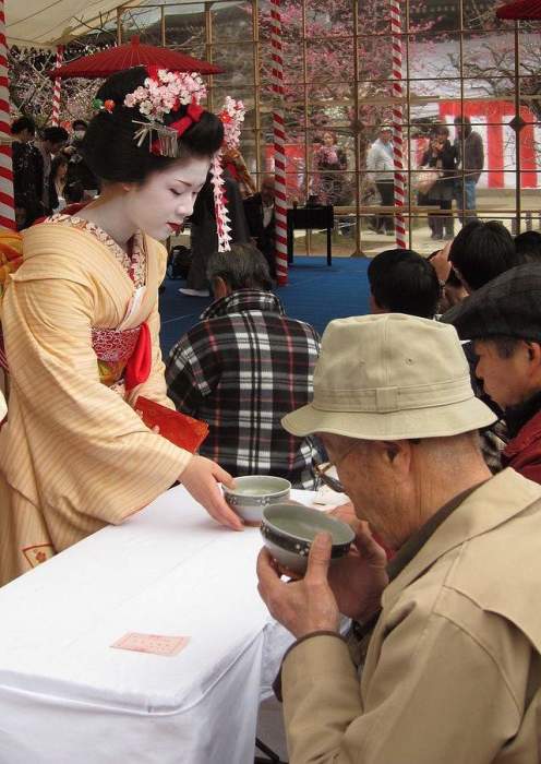 Майко раздает чай на фестивале цветения сливы в храме Китано-тэммангу. | Фото: en.wikipedia.org.