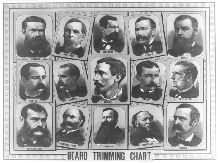 Плакат 1884 года с основными формами бороды. | Фото: atlasobscura.com.