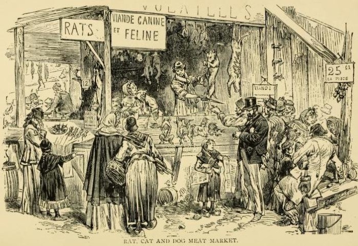 Кошки, крысы и слоны: что приходилось есть парижанам в конце XIX века 