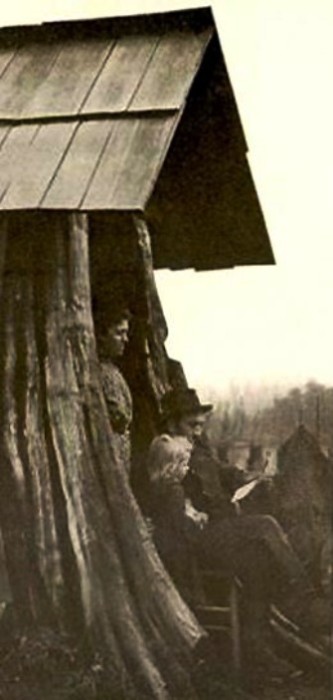 Семья Леннстром, живущая в пне. Эджком (Edgecomb), штат Вашингтон, 1901 год. | Фото: historylink.org.