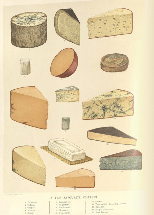 «Несколько любимых сыров». | Фото: nyamcenterforhistory.org.