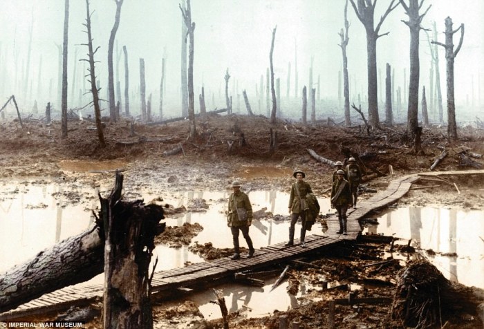 Британские солдаты передвигаются по помосту через лес вблизи бельгийского города Ипр. | Фото: dailymail.co.uk.