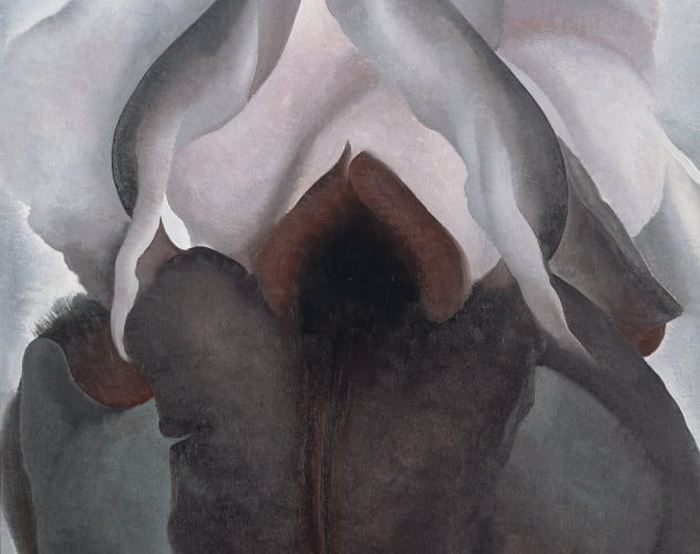 Картина «Черный ирис», худ. Джорджия О'Кифф.