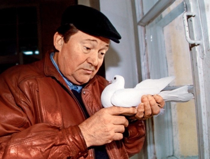 Виктор Павлов считал, что в голубей вселяются души ушедших актёров. / Фото: www.mycdn.me