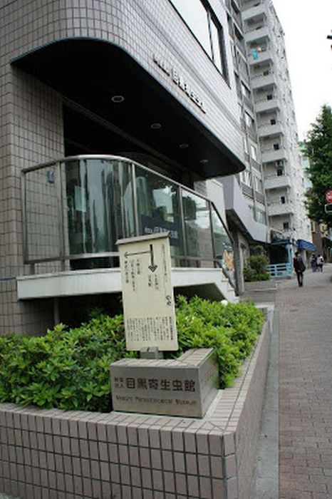 Музей паразитологии в Токио. / Фото: www.googleusercontent.com