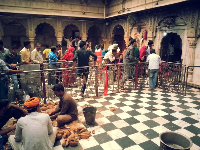 Очередь  в храме Карни Мата. / Фото: www.mapsofindia.com