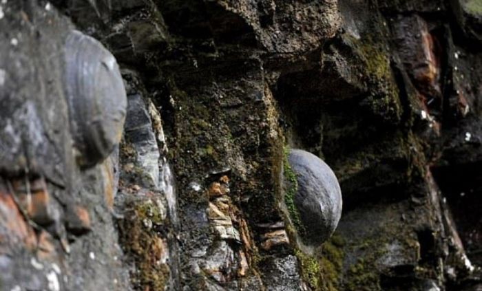 Каменные яйца удивительной горы. / Фото: www.arbresh.info