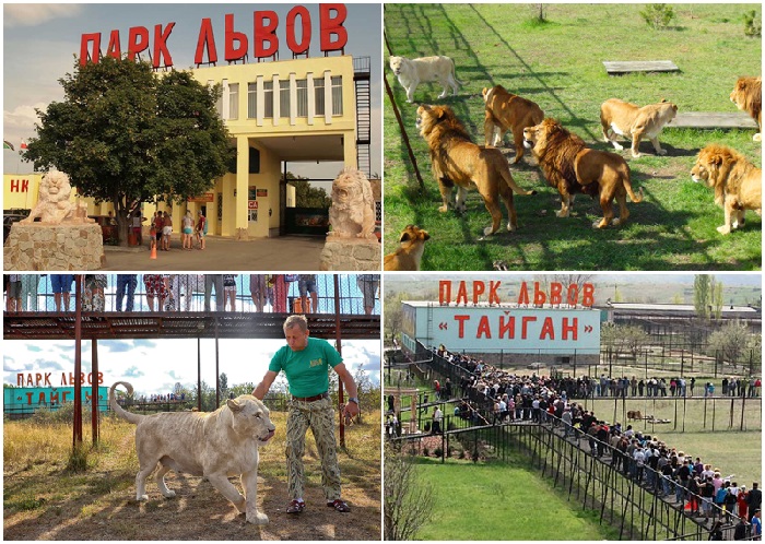 Сафари-парк «Тайган» — частный парк львов, расположенный на территории Белогорского района Крыма.