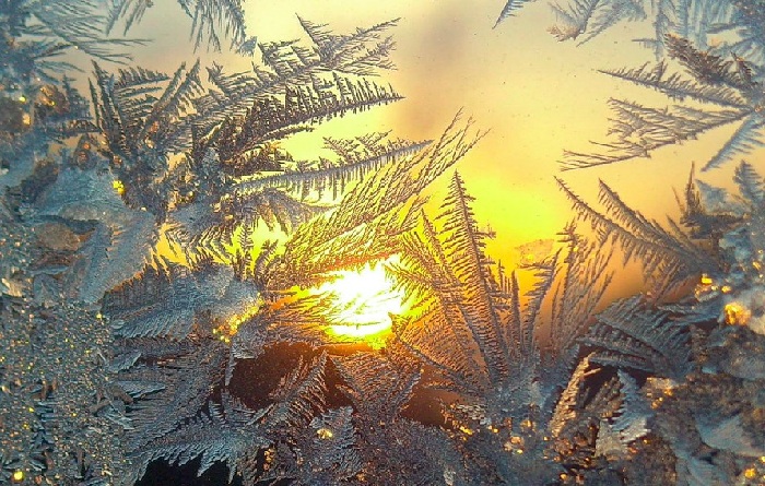 Мороз - гениальный художник природы, без рук творящий невероятные шедевры.