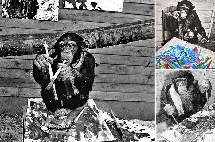 Пьер Брассо - художник-авангардист, он же шимпанзе Питер.