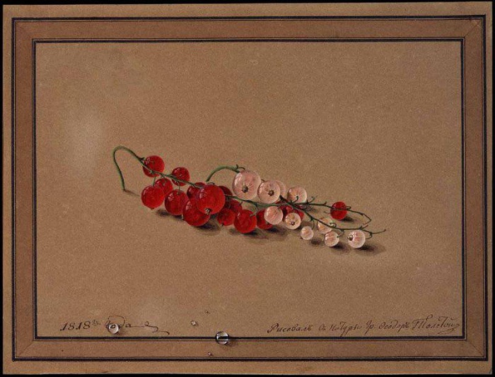 Ягоды красной и белой смородины. (1818). Автор: Федор Толстой. 