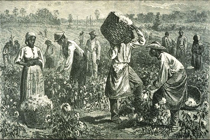  Рабы на сборе хлопка (Юг США, 1873 год)