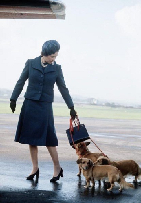 Елизавета II с собаками в аэропорту Абердина, 1974 год