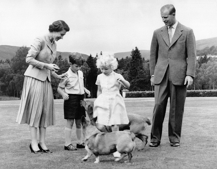 Королевская семья с корги «Сахарок» и «Конфетка», 1955 год