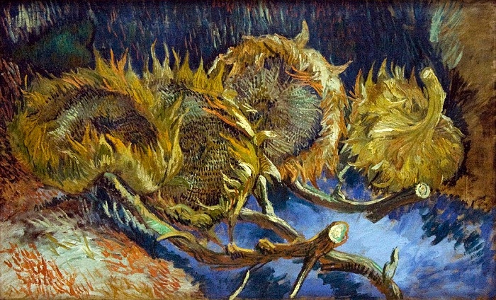 Четыре срезанных подсолнуха. Париж, сентябрь 1887. Холст, масло, 60х100. Отерло, Кроллер-Моллер Музей