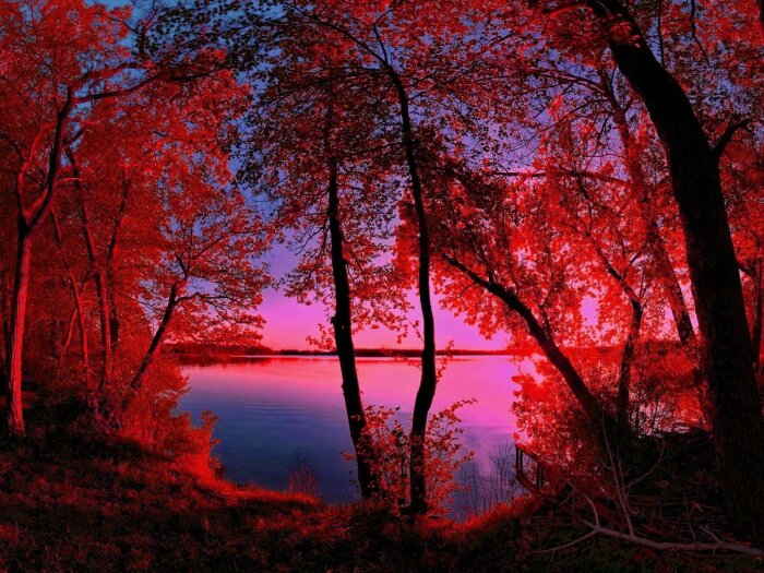 Вода в озере кажется красной. /Фото: vsegda-pomnim.com