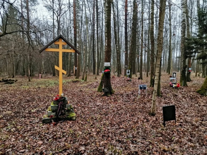 Импровизированные надгробия на территории «Коммунарки». /Фото: avatars.mds.yandex.net