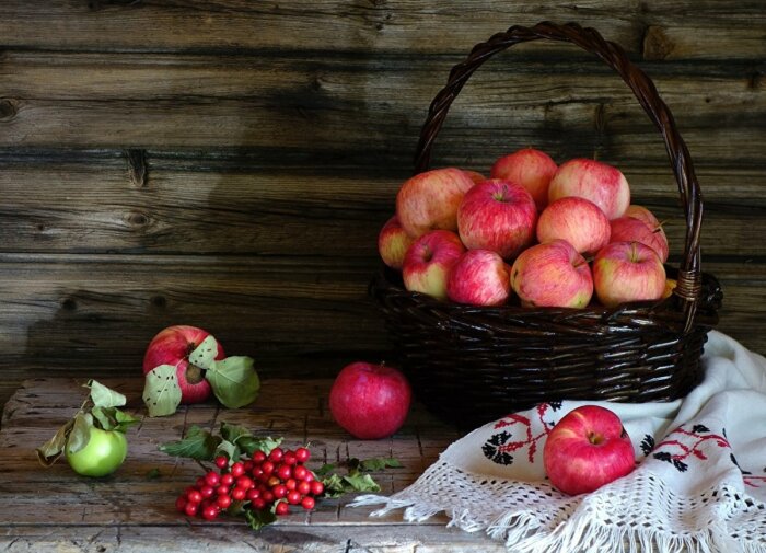 Плодовые деревья, например, яблоня, считались добрыми. /Фото: kartinkin.net